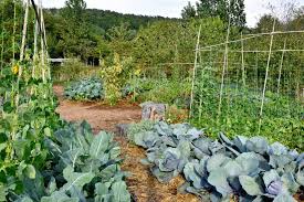 Frequently asked questions about la ferme ecologique du bec hellouin. La Methode De La Ferme Du Bec Hellouin Ferme Du Bec Hellouin