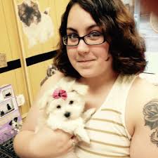 Newborn dachshund babies and Isabella colored dachshunds