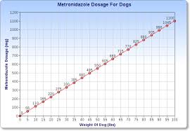 Metronidazole For Dogs Veterinary Place