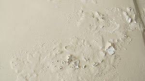 Salah satunya adalah cat dinding mengelupas. Cara Mengatasi Cat Tembok Mengelupas Bersama