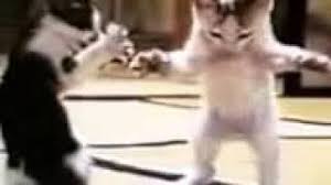 ميلي بخصرك ميلي و ريتك تسلميلي يلبقلك تميلي و انت حلوي كتير. ØªØ­Ù…ÙŠÙ„ Ø£ØºÙ†ÙŠØ© Ø¹Ù„Ø§Ø¡ Ø²Ù„Ø²Ù„ÙŠ Ù‡Ø²ÙŠ Ø¨Ø®ØµØ±Ùƒ Ù‡Ø²ÙŠ Mp3 Mp4