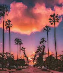 27 2 17 Beverly Hills Why I Want To Move To Cali California Sunset California Palm Trees Scenery