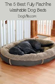Dog bed for large dogs waterproof detachable lounger sofa cat bulldog bedding kennel mechanical wash pet products extra size bed. The 5 Best Fully Machine Washable Dog Beds Dogvills