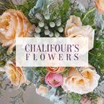 Total 21 active theflowerpot.com promotion codes & deals are listed and the latest one is updated on may 30, 2021; Chalifours Flowers Coupon Codes 40 Off 2 Active August 2021