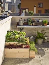 7 Expert Tips For Rooftop Gardening Williams Sonoma Taste Rooftop Garden Urban Garden Design Urban Garden