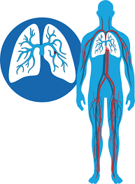 According to the centers for disease control and prevention (cdc), as many as 100,000 people die from blood clots each year in the united states. Dvt And Pe Explained Symptoms Fast Facts And Myths
