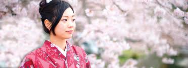 Want to discover art related to sakura? Beauty Of Sakura Malu Wilz