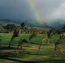 Wind, in climatology, the movement of air relative to the surface of the earth. Wind Meteorology Britannica