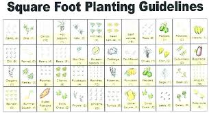 Vegetable Garden Companion Planting Chart Cuddlebabes Info