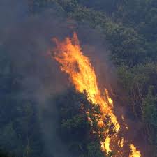 Check spelling or type a new query. Italien Hunderte Waldbrande Kilometer Lange Brandfronten Aber Keine Loschflugzeuge Welt
