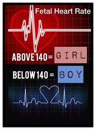 Heart Rate Gender Prediction Baby Gender Prediction