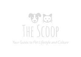 We love to share the good news and are so happy to see our furry friends healthy. Healthy Paws Pet Insurance