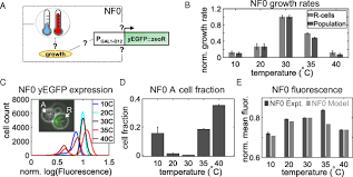 Andnot only for wars between nations.b) the drones will be able to do two things: Multiscale Effects Of Heating And Cooling On Genes And Gene Networks Pnas