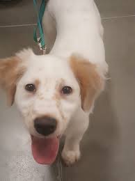 Meeting a beautiful person today