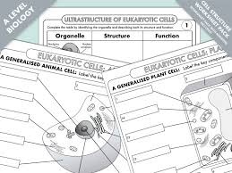 a level biology cell ultrastructure worksheet pack