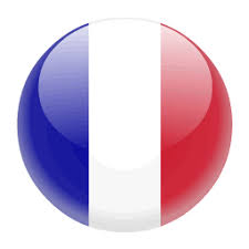 Image result for bandiere francesi