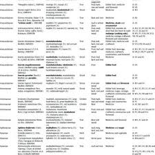 Image result for Conostomium gazense