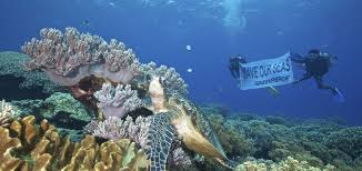 Like most environmental organizations, greenpeace supports legislation that would lead to cleaner air and water. Startseite Greenpeace Stiftung