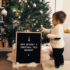55 2k Followers 319 Following 2 872 Posts See Instagram Photos And Videos From Aline Albino Byal Christmas Lettering Family Tree Quotes Funny Baby Quotes