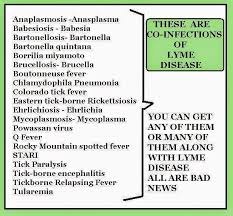 What To Do If You Find An Embedded Tick Boothbay Register