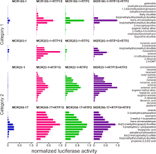 Rtp2 pt totv live stream hd 1080p totv.org hd to tv rtp2 pt hd hqtvx live totv rtp2 pt live online! Plos One Receptor Transporting Protein Rtp Family Members Play Divergent Roles In The Functional Expression Of Odorant Receptors