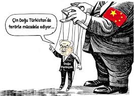 Doğu Türkistan - İşgalci Çin"in tescilli ajanı Doğu Perinçek! | Facebook