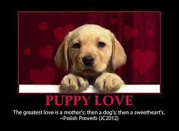 Yep That S Right Puppy Love Quotes Animal Love Quotes Puppy Love