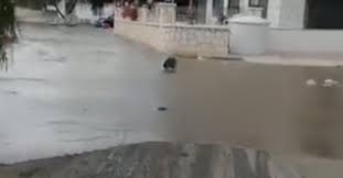 Tsunami Nedir Nasil Olusur Izmir Sigacik Deprem Ardindan Son Dakika Tsunami Olacak Mi Akut Afad Ve Kandilli Rasathanesi Takvim