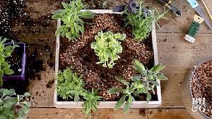 How to use a soil test kit. One Hour Miniature Herb Garden Better Homes Gardens