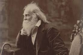 Chrysanthemum An Anthology I Sing The Body Electric By Walt Whitman Poem Poetry Waltwhitman Walt Whitman Walt Whitman Poems Whitman