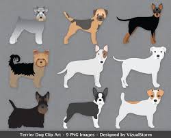Black And Tan Jack Russell Puppies For Sale In Yorkshire British Terrier Dog Breeds Clipart Bull Terrier Yorky Border Etsy In 2020 Dog Clip Art Dog Poster Dog Blog