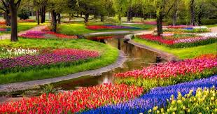 Best hd wallpapers of flowers, desktop backgrounds for pc & mac, laptop, tablet, mobile phone. 13 Of The Most Beautifully Designed Flower Gardens In The World