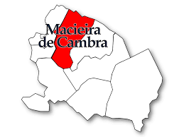 Para chegar a vale de cambra se vier da zona do porto, em são joão da madeira vira para vale de cambra, se vier da zona aveiro. Macieira De Cambra Wikipedia A Enciclopedia Livre