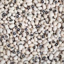 Check spelling or type a new query. Olio E Sale Fagiolo Con L Occhio Del Salento Leccese Legume Di Zollino Calo Monte