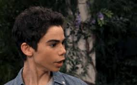 Ｓᴛʀᴀᴛᴇɢɪᴄ Ｈᴏᴍᴇʟᴀɴᴅ Ｉɴᴛᴇʀᴠᴇɴᴛɪᴏɴ﹐ Ｅɴғᴏʀᴄᴇᴍᴇɴᴛ ᴀɴᴅ Ｌᴏɢɪsᴛɪᴄs Ｄɪᴠɪsɪᴏɴ