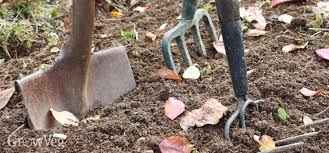 We did not find results for: The Pros And Cons Of Cultivating Soil