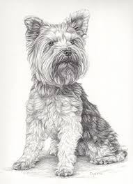 343 x 400 jpeg 29kb. 8 Ideeen Over Kleurplaten Honden Katten Katten Kleurplaten Dieren