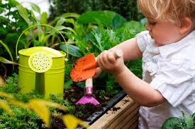 Rugăciunea sfântului antonie se citește 9 săptămâni și vă va schimba total viața în bine. Ce Vor Plantele Qbebe Ro