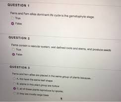 Solved Question 1 Ferns And Fern Allies Dominant Life Cycle Chegg Com
