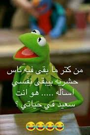 pin by salah amer on funny qoutes funny arabic quotes funny picture jokes funny qoutes