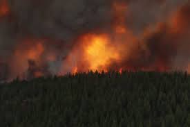 Fire officials provide update on wildfire situation in b.c. P0c77aypxlfvum