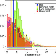 Image result for Savannosiphon euryphyllus