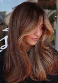 Cinnamon Caramel Bronde Hair Tutorial and Results
