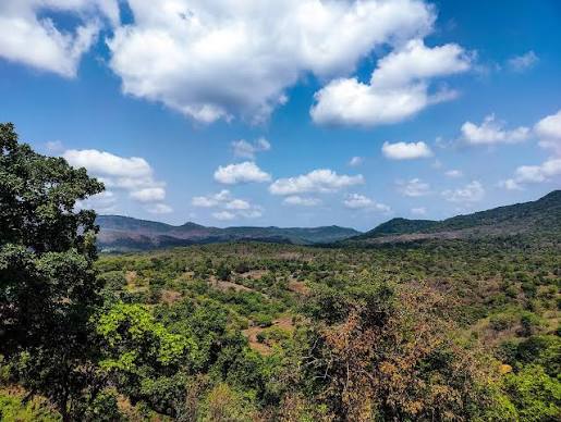 Sanjay Gandhi National Park - Mumbai's wild side, surprisingly close by.