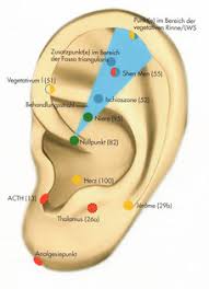 Dauernadeln im ohr haben sich als sehr effektive methode zum abnehmen erwiesen. Ohrakupunktur Hp Boehnings Webseite