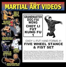 Choy Li Fut Kung Fu