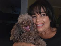 Standard Poodle's amazing transformation