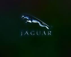 77 car logos wallpapers on wallpapersafari. Jaguar Logo Wallpaper Jaguar Logo Wallpapers Jaguar Logo