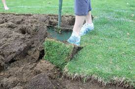 How To Remove Sod Quick And Easy Removing Sod How To Remove Grass Sod