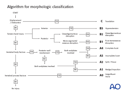 The alphabetical listing is a simple alphabetized listing of all diagrams. Rationale For Fracture Classification A0 A1 A2 A3 A4 B1 B2 B3 C